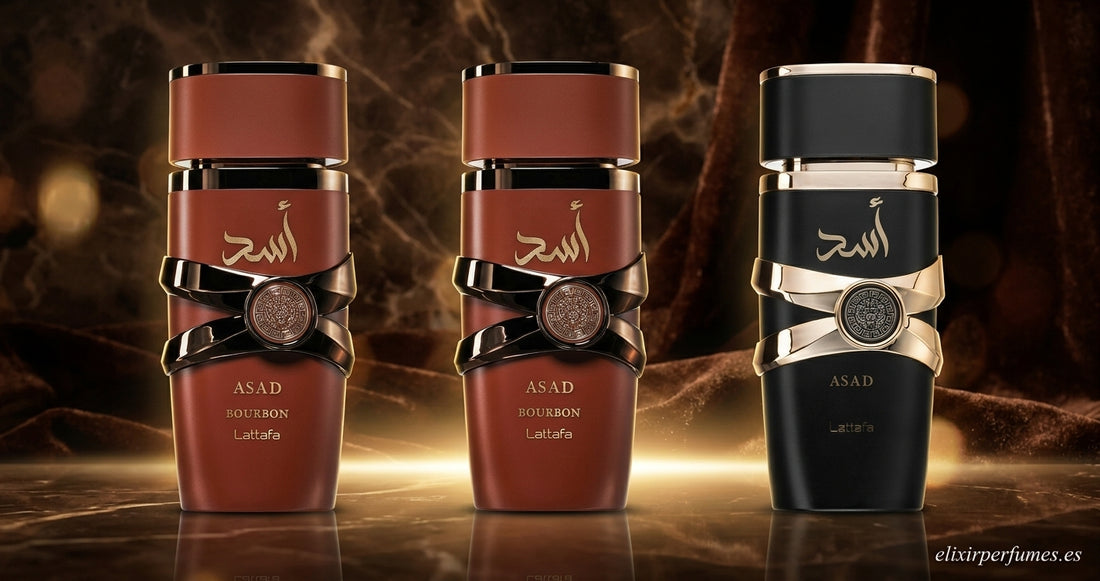 Lattafa Asad: review completa del perfume árabe inspirado en el león