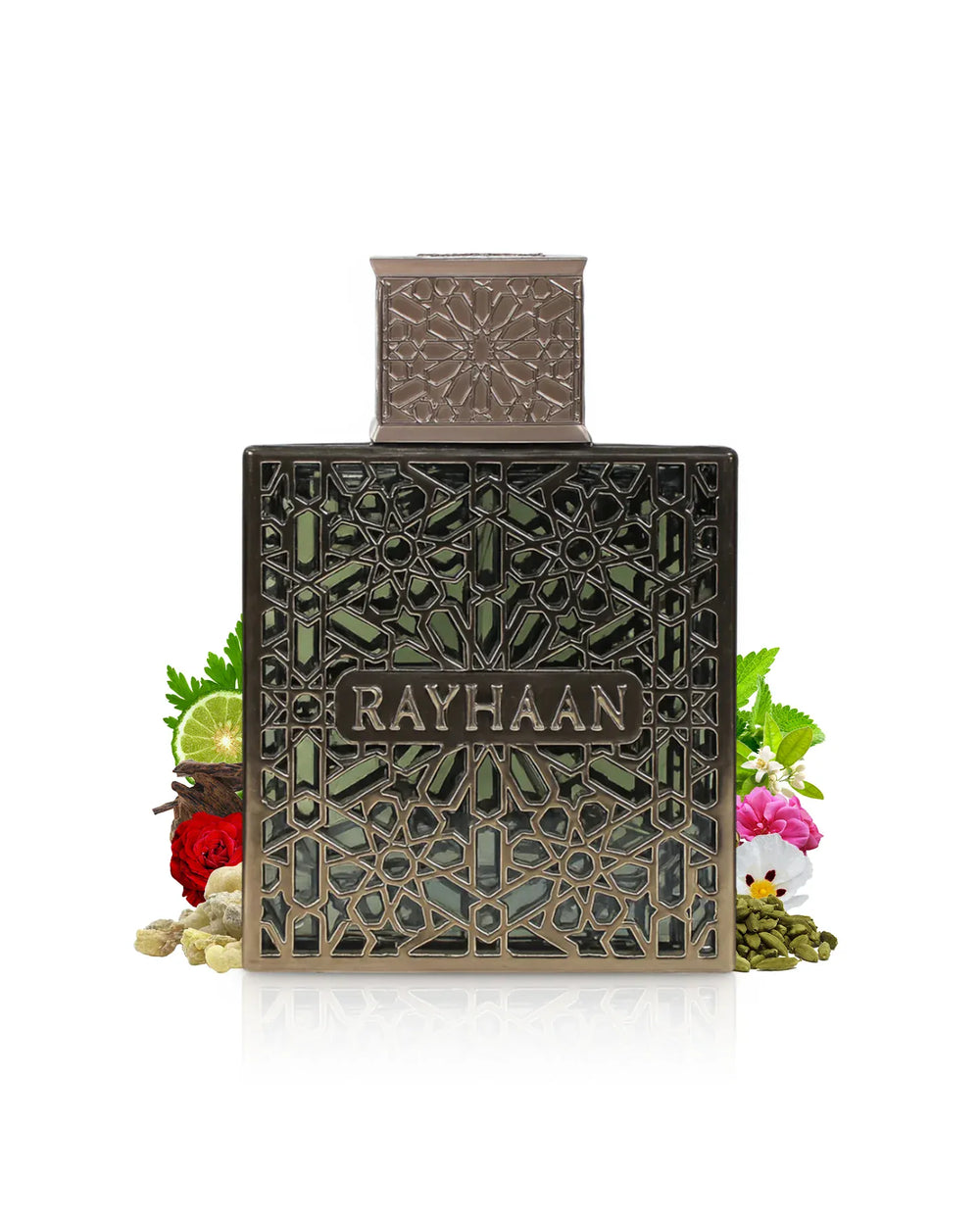 Rayhaan Terra Perfume Hombre 100ml caja embalaje original